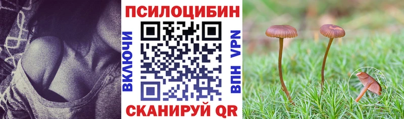 Псилоцибиновые грибы Psilocybe  Дятьково 
