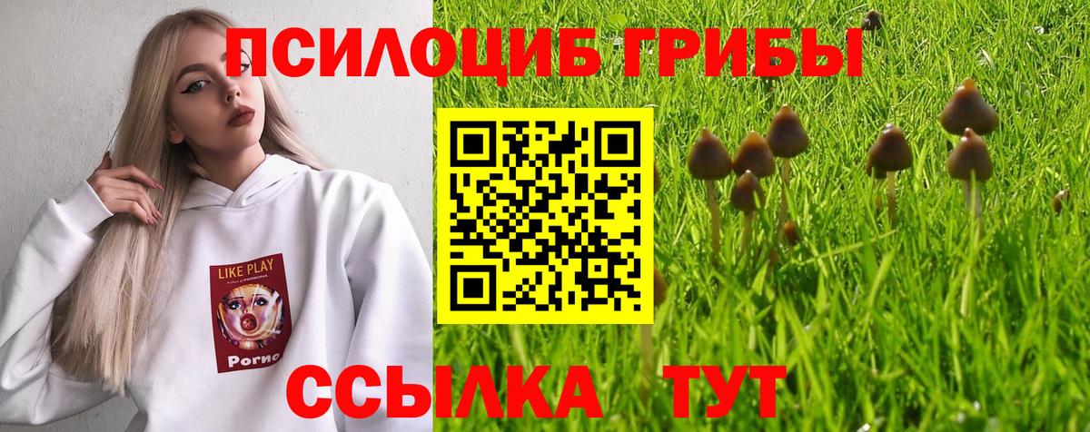Псилоцибиновые грибы Magic Shrooms  Псилоцибиновые грибы Magic Shrooms  Дятьково 