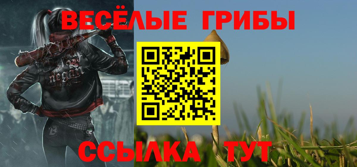 Галлюциногенные грибы прущие грибы Дятьково