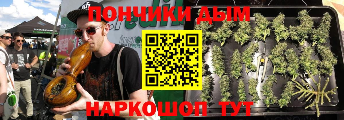 Шишки марихуана семена Дятьково